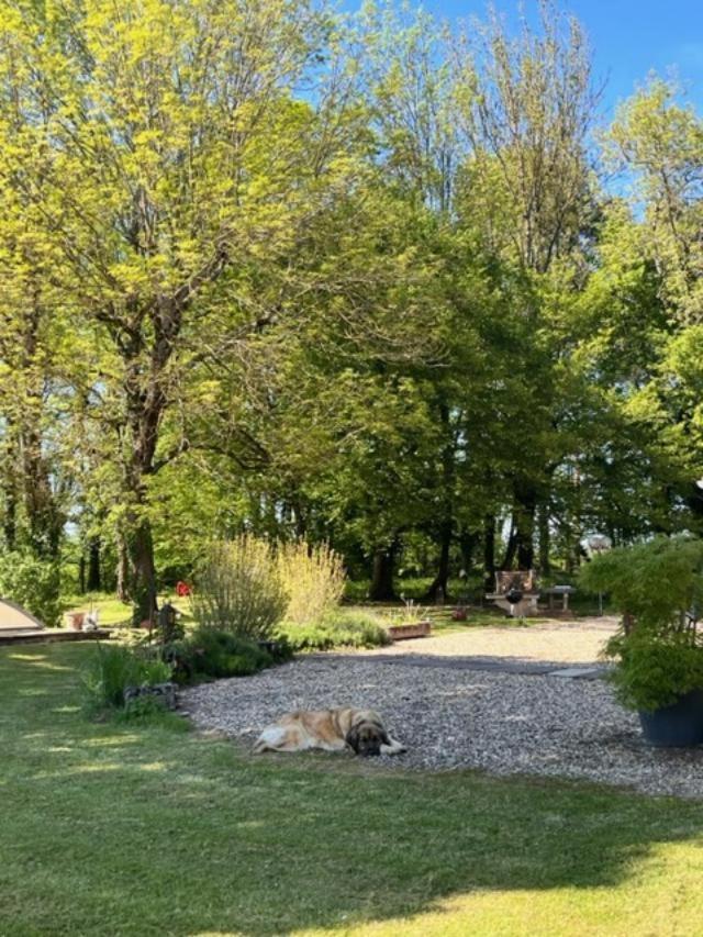 Ferienwohnung Nature Et Calme La Chapelle-Saint-Sauveur  Exterior foto